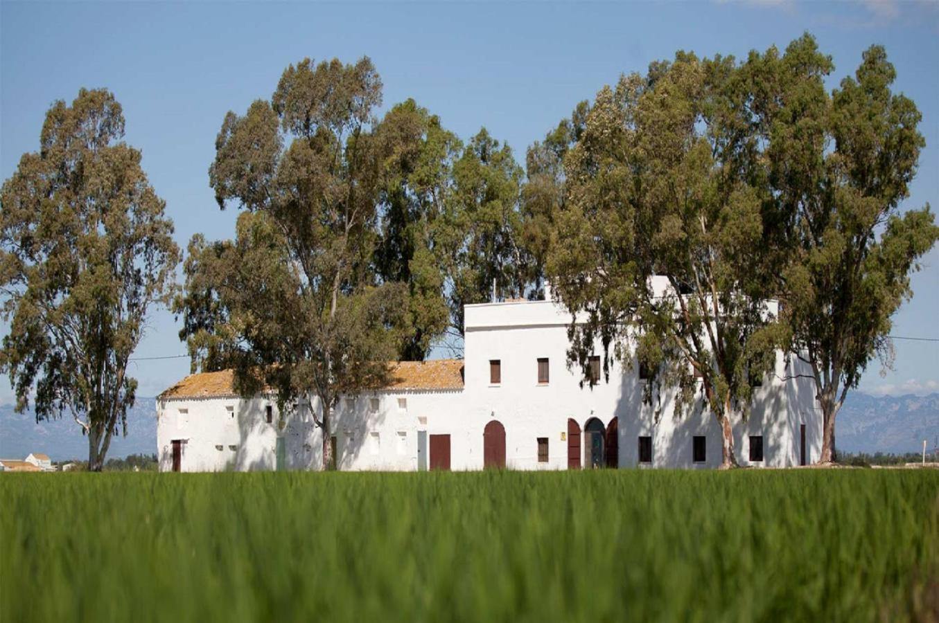 Mas Illa De Riu - Autentica Masia Del Delta Del Ebro Con Capacidad Para 20 Personas - Deltavacaciones Sant Jaume d'Enveja Exterior photo