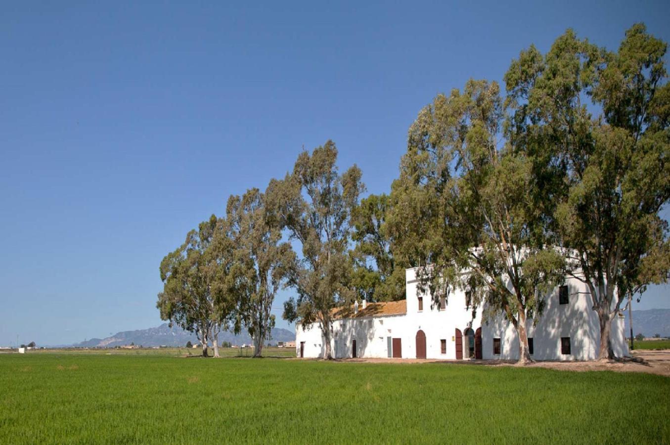 Mas Illa De Riu - Autentica Masia Del Delta Del Ebro Con Capacidad Para 20 Personas - Deltavacaciones Sant Jaume d'Enveja Exterior photo