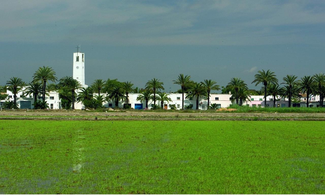 Mas Illa De Riu - Autentica Masia Del Delta Del Ebro Con Capacidad Para 20 Personas - Deltavacaciones Sant Jaume d'Enveja Exterior photo