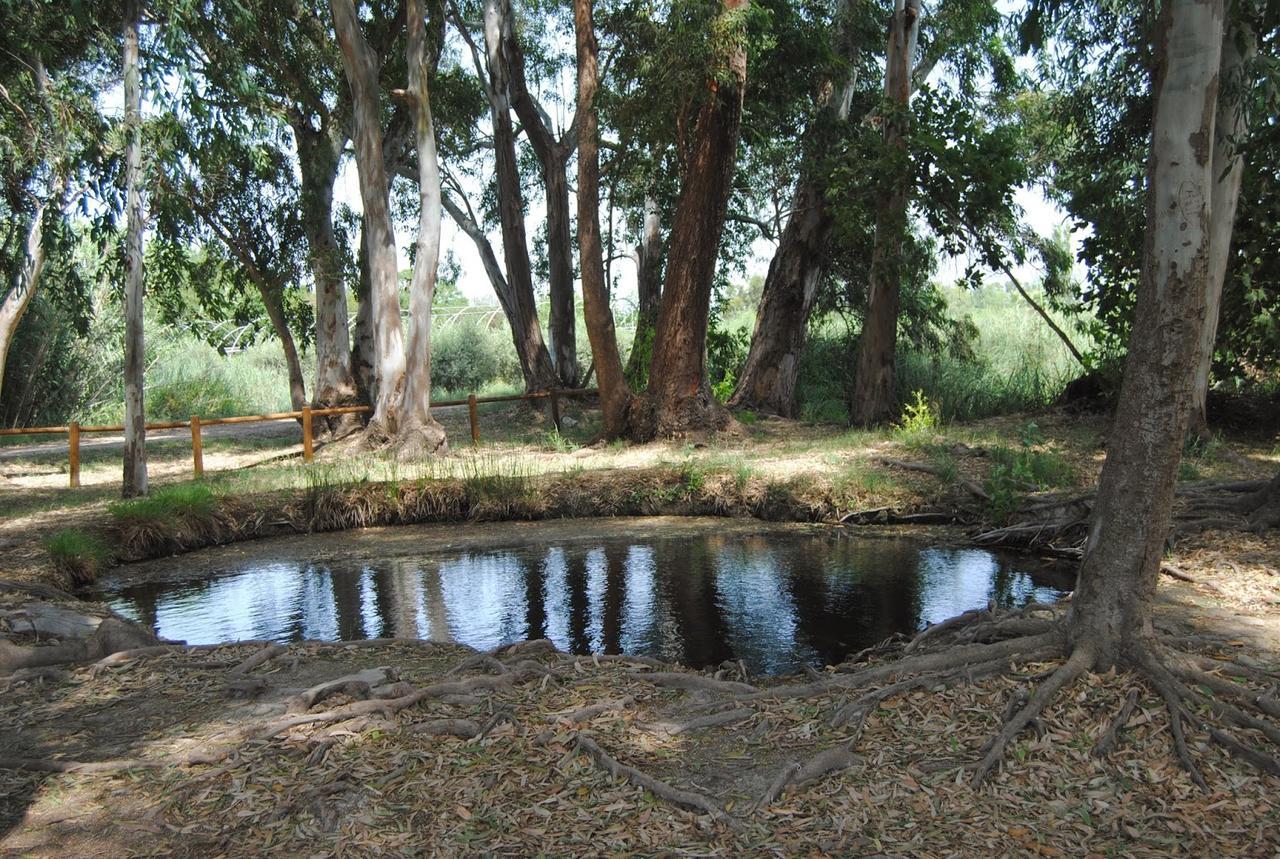 Mas Illa De Riu - Autentica Masia Del Delta Del Ebro Con Capacidad Para 20 Personas - Deltavacaciones Sant Jaume d'Enveja Exterior photo